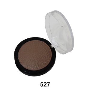 رژگونه هایلایتر 527